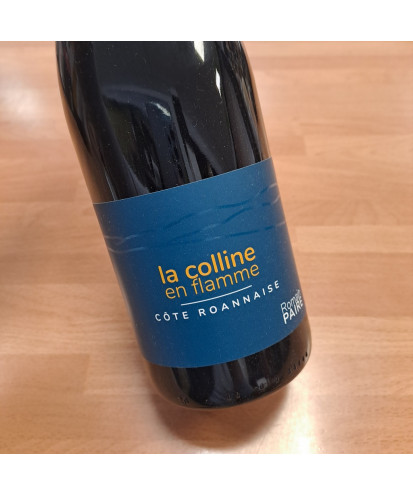 Côte Roannaise rouge "La Colline en Flamme" 2022 Domaine des Pothiers